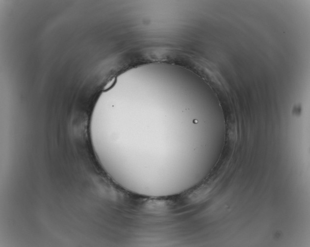 X0000091970332200709201410