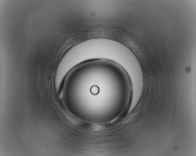 X0000091970333200709201410