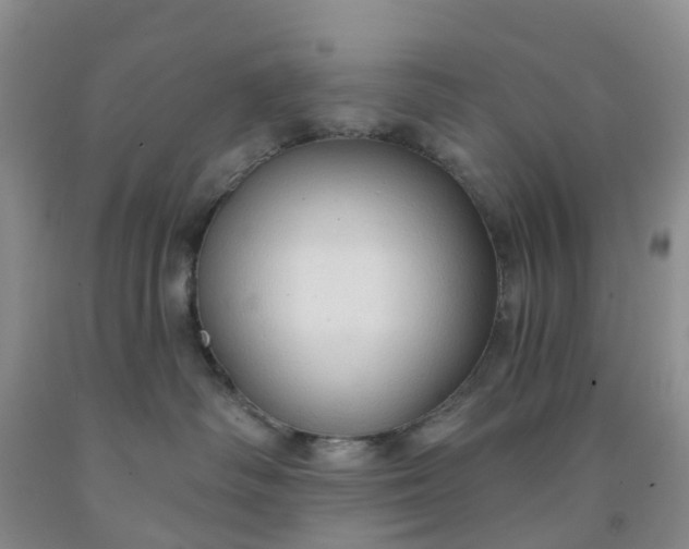 X0000091970334200709201410