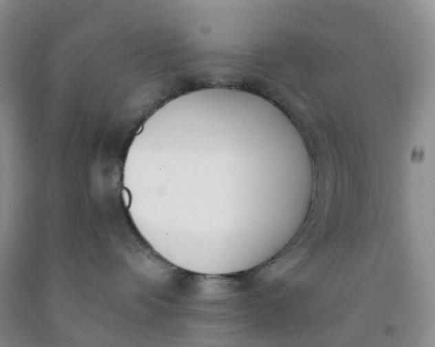 X0000091970336200709201410