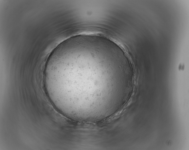 X0000091970337200709201410