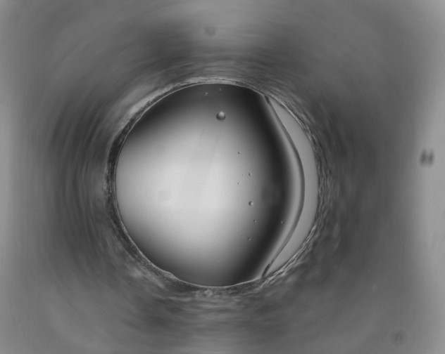 X0000091970338200709201410