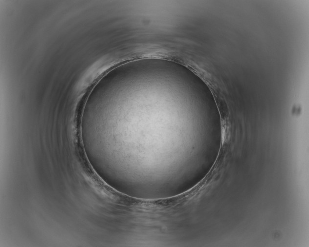 X0000091970339200709201410