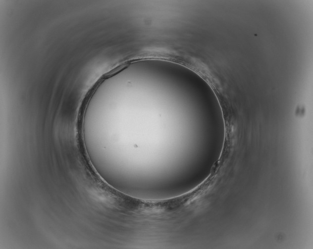 X0000091970340200709201410