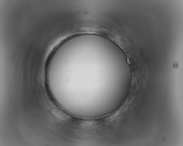 X0000091970342200709201410