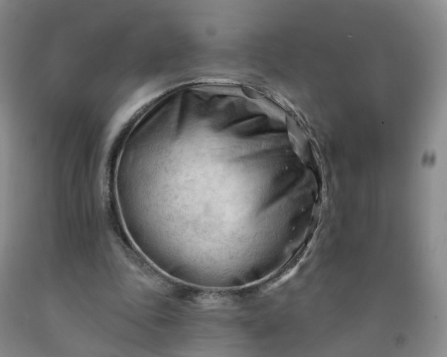 X0000091970343200709201410