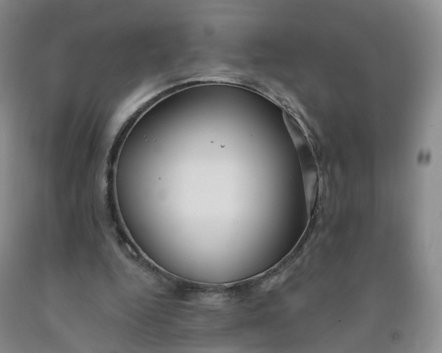 X0000091970344200709201410