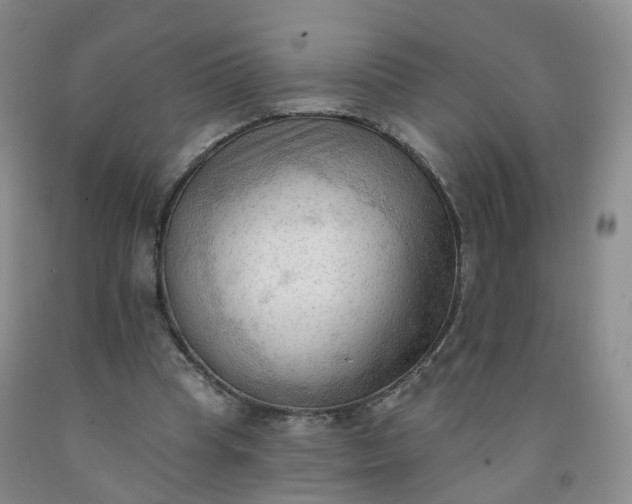X0000091970345200709201410