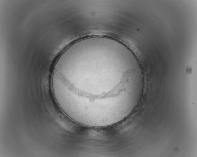 X0000091970346200709201410