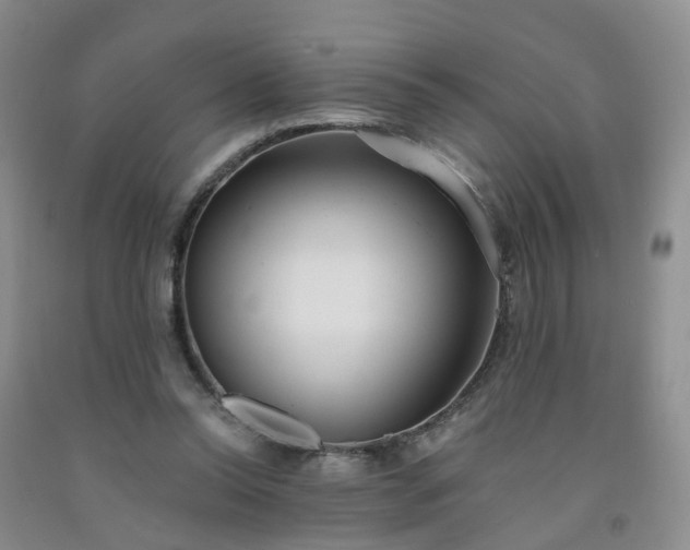 X0000091970350200709201410