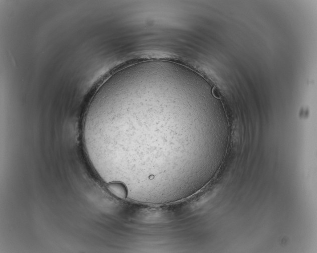 X0000091970351200709201410