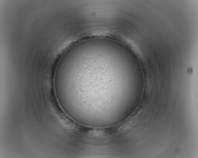 X0000091970354200709201410