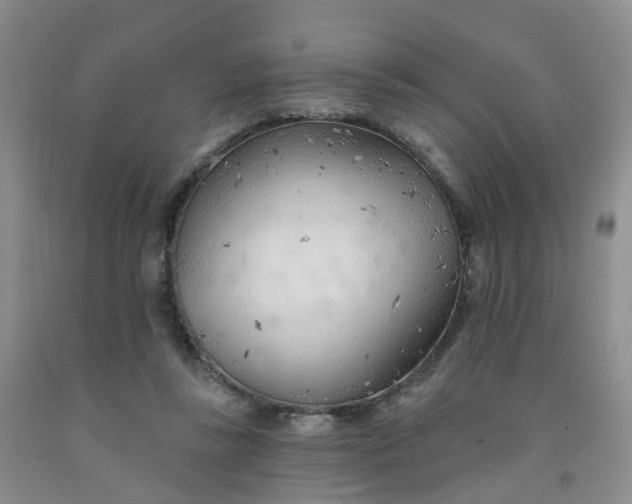X0000091970355200709201410
