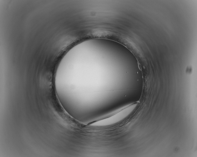 X0000091970356200709201410