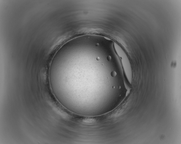 X0000091970357200709201410