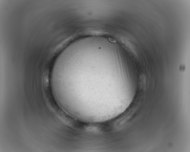 X0000091970358200709201410