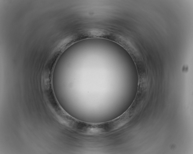 X0000091970360200709201410