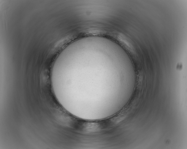 X0000091970361200709201410