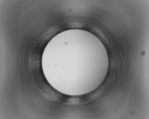 X0000091970362200709201410