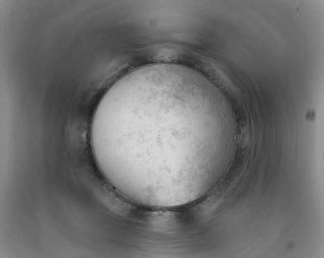 X0000091970363200709201410