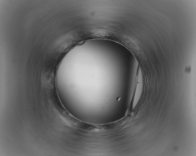 X0000091970364200709201410