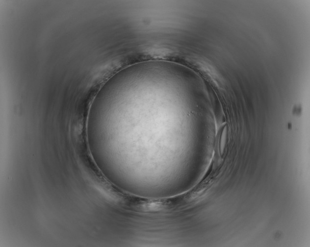X0000091970365200709201410