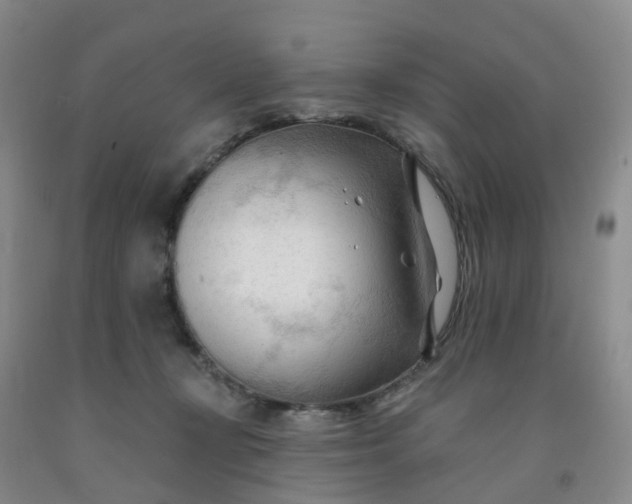 X0000091970367200709201410