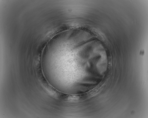 X0000091970369200709201410