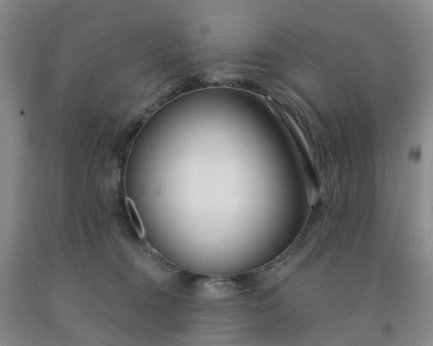 X0000091970372200709201410
