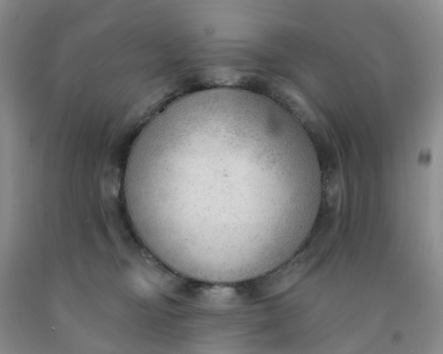 X0000091970374200709201410