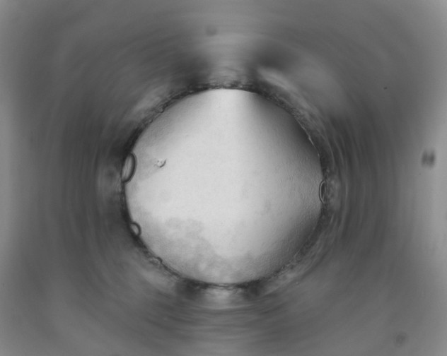 X0000091970375200709201410