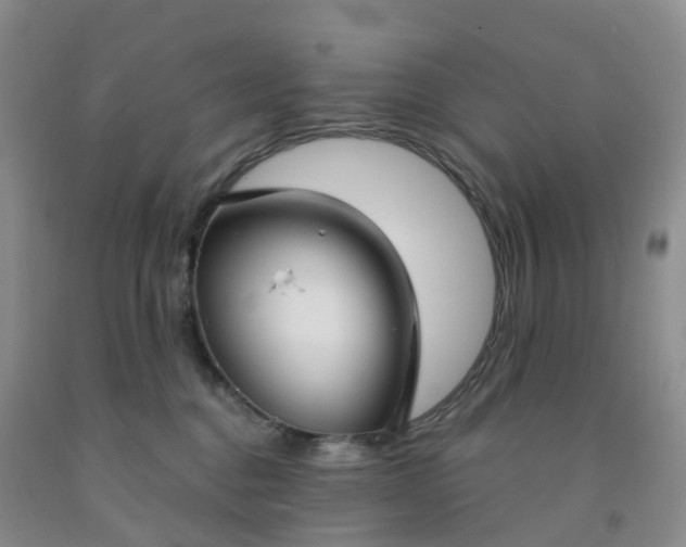 X0000091970376200709201410