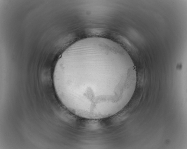 X0000091970377200709201410