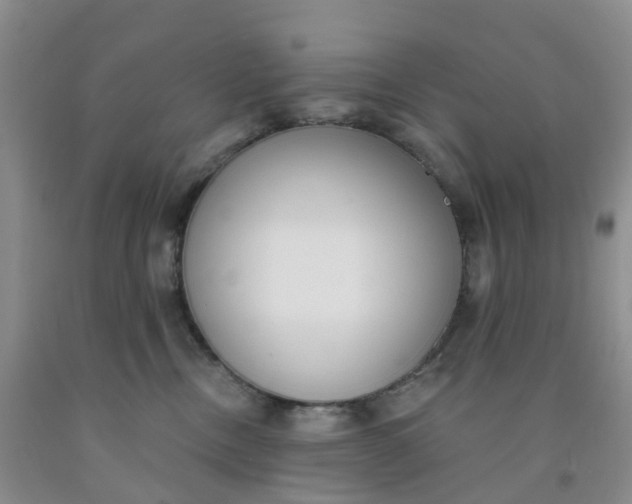 X0000091970378200709201410