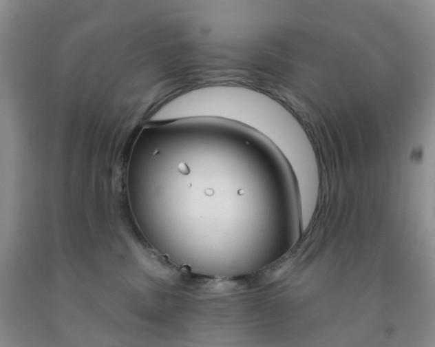 X0000091970379200709201410