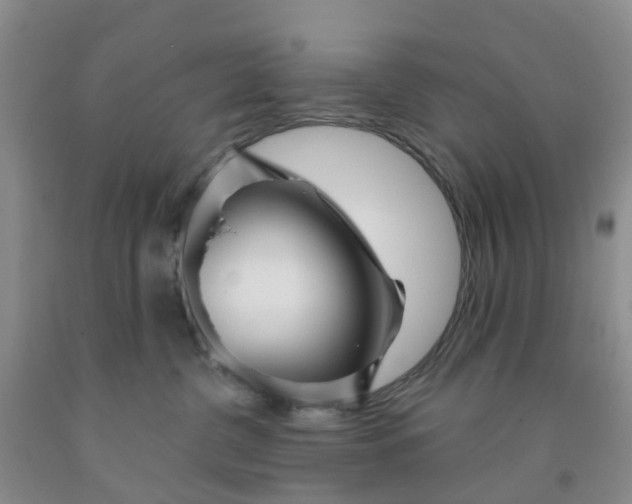X0000091970380200709201410