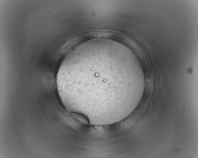 X0000091970381200709201410