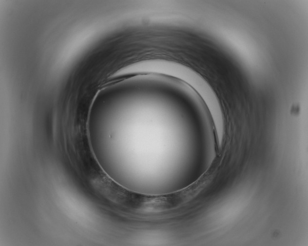 X0000091970382200709201410