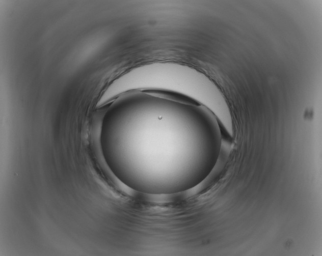 X0000091970383200709201410