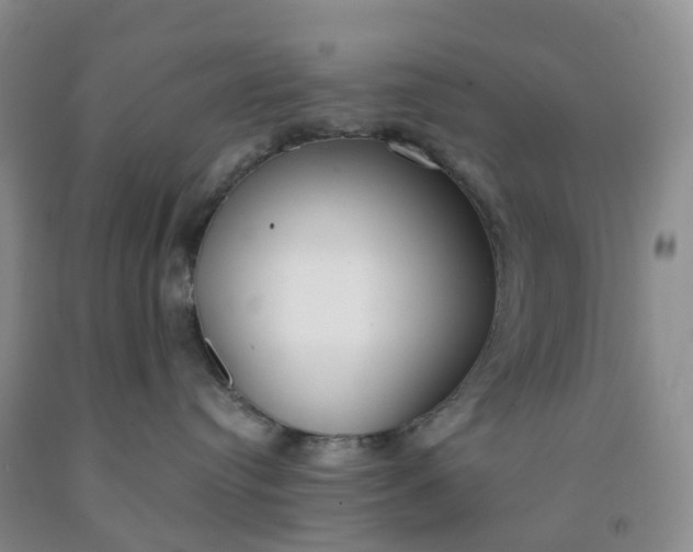 X0000091970384200709201410