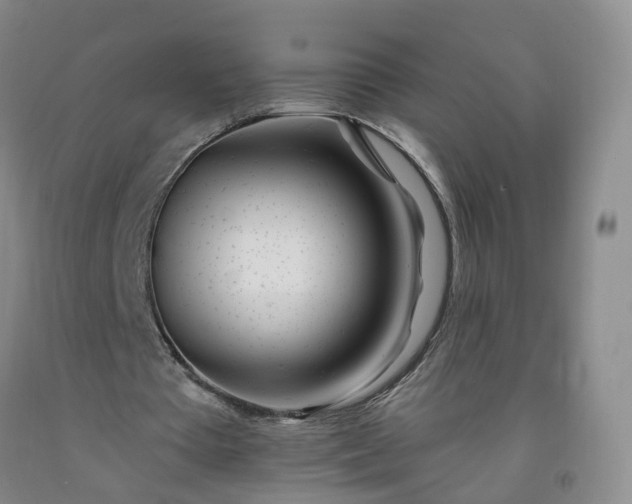 X0000091970385200709201410