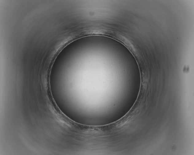 X0000091970386200709201409