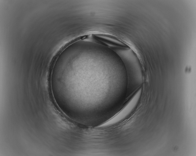 X0000091970387200709201409