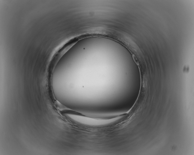 X0000091970388200709201409