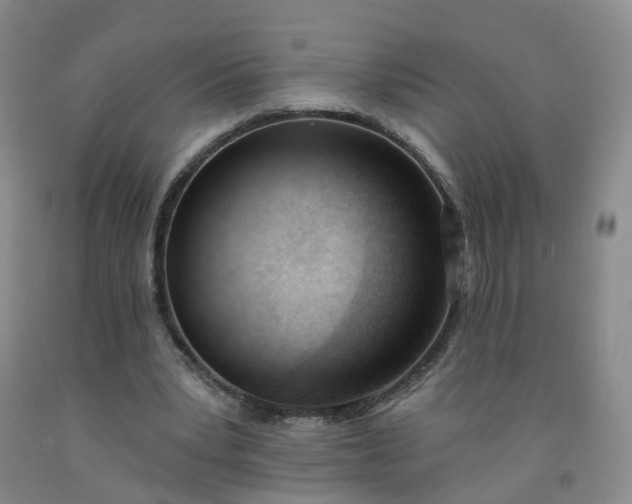 X0000091970391200709201409