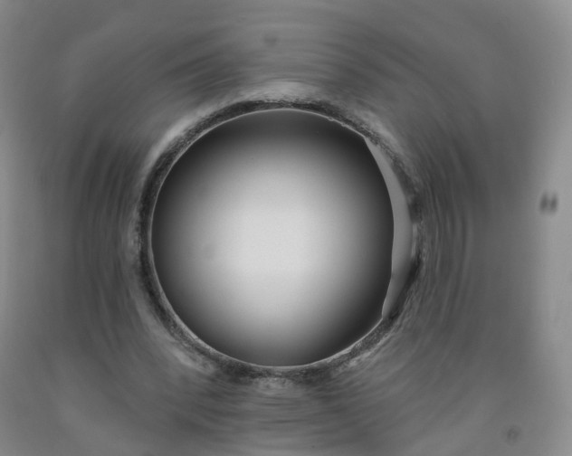 X0000091970392200709201409