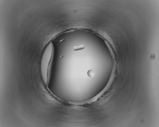 X0000091970393200709201409