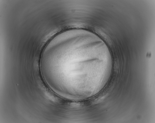 X0000091970394200709201409