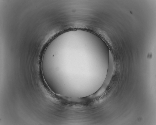 X0000091970395200709201409