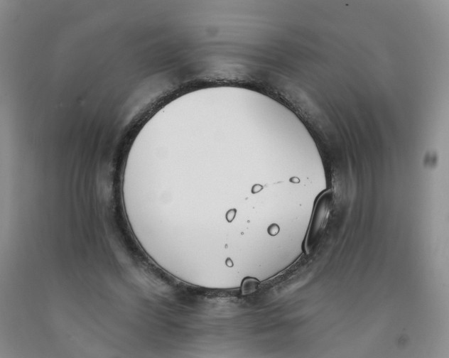 X0000091970396200709201409